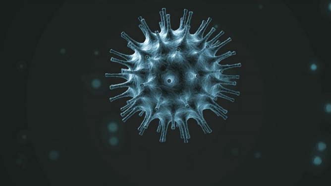 coronavirus3_large.jpg