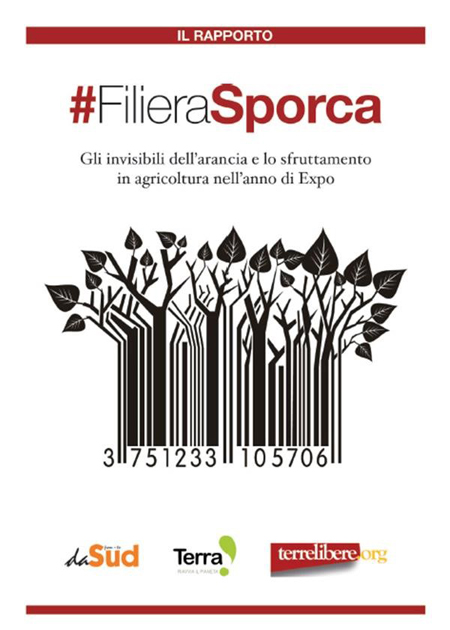 rapportofilierasporca