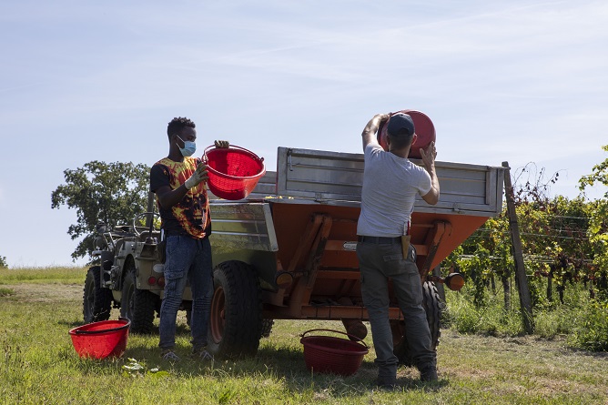 Almeno 10 mila lavoratori agricoli migranti negli insediamenti informali