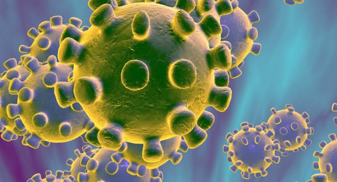 coronavirus4a.jpg