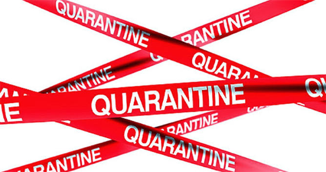 quarantena.jpg