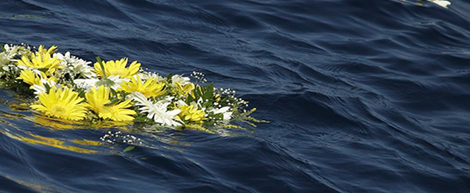Fermare la strage. Subito!
