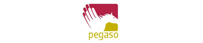 fondo_pegaso.jpg