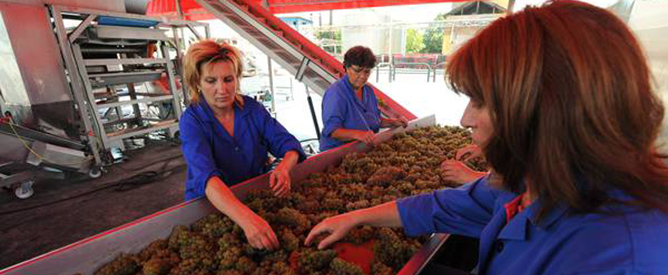 Libera circolazione: fine della prima fase del periodo transitorio per i lavoratori croati